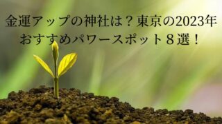 金運アップの神社は？東京の2023年おすすめパワースポット８選！